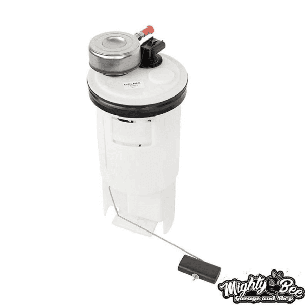 DELFG0423pBMX