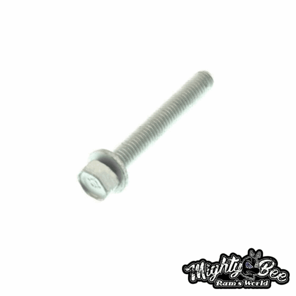 MOP6034246ogia